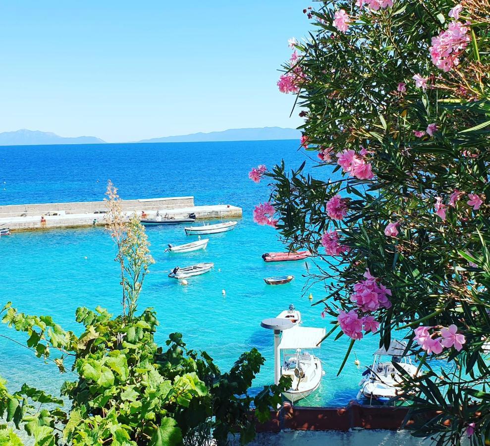 Pansion Braco Bed & Breakfast Zavala Dış mekan fotoğraf