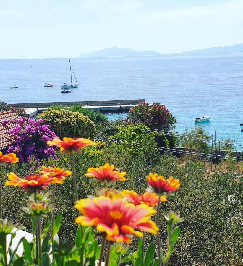 Pansion Braco Bed & Breakfast Zavala Dış mekan fotoğraf