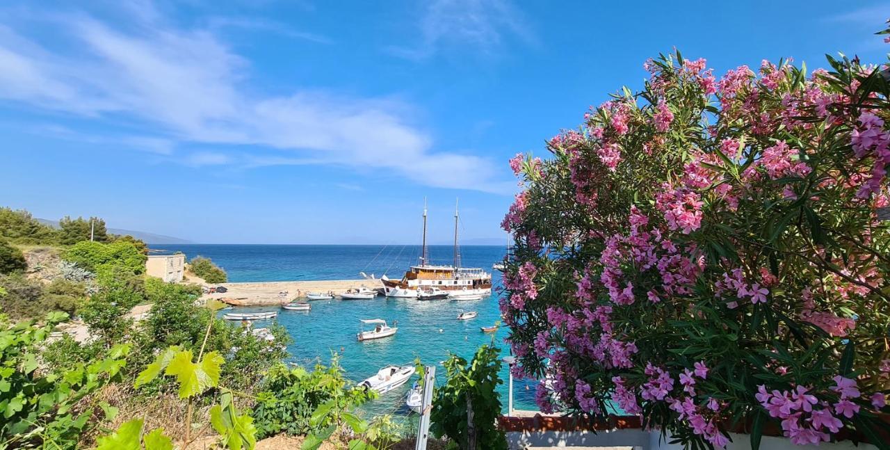 Pansion Braco Bed & Breakfast Zavala Dış mekan fotoğraf