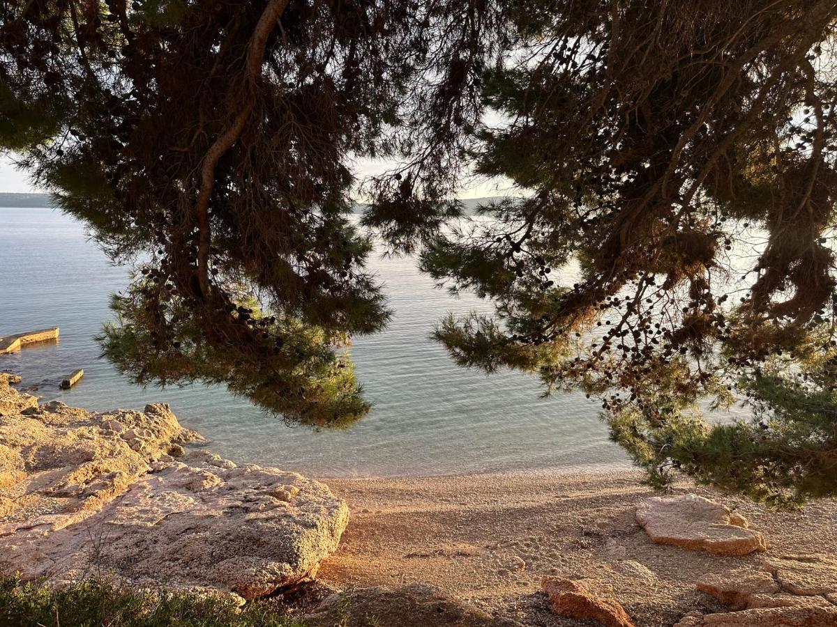 Pansion Braco Bed & Breakfast Zavala Dış mekan fotoğraf
